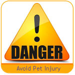 Airline pet injury mistakes