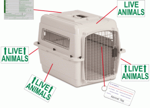 Live Animal Label Diagram