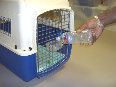 watering pet from outside kennel