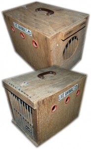 Vintage Wood Dog Cat Airline Crate