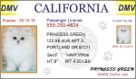 Pet ID DMV Drivers License