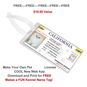 dog/cat drivers_license