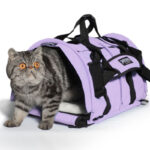 Cat Carrier Airline Approved