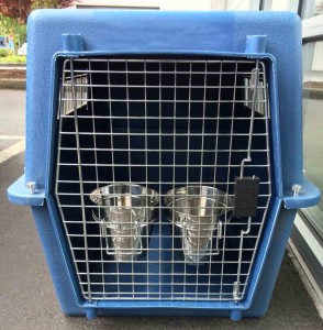 Stainless Steel Water Pails on Dog Kennel Door