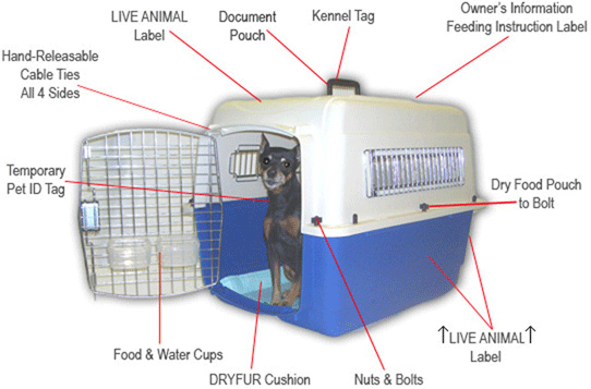 Pet Airline Carrier Instructions