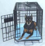 Metal Wire Crate Pet Carrier