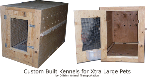 Modified and Custom Built Airline Kennels Crates 