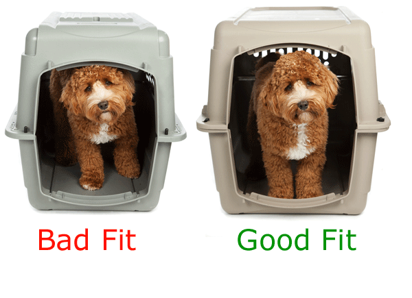 dog kennel size guide