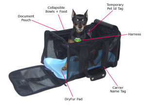 in cabin pet airline checklist